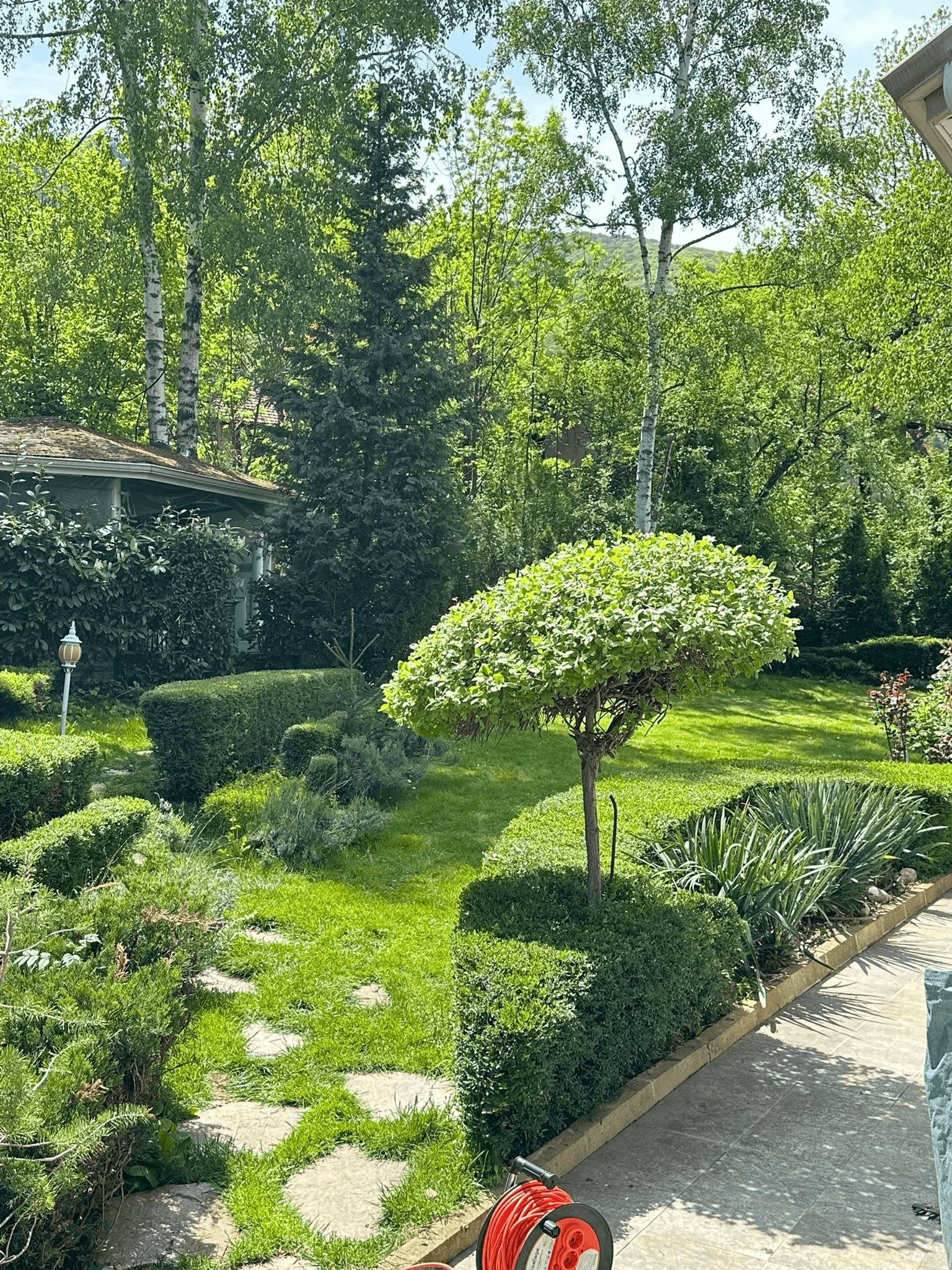 Професионално озеленяване на градина