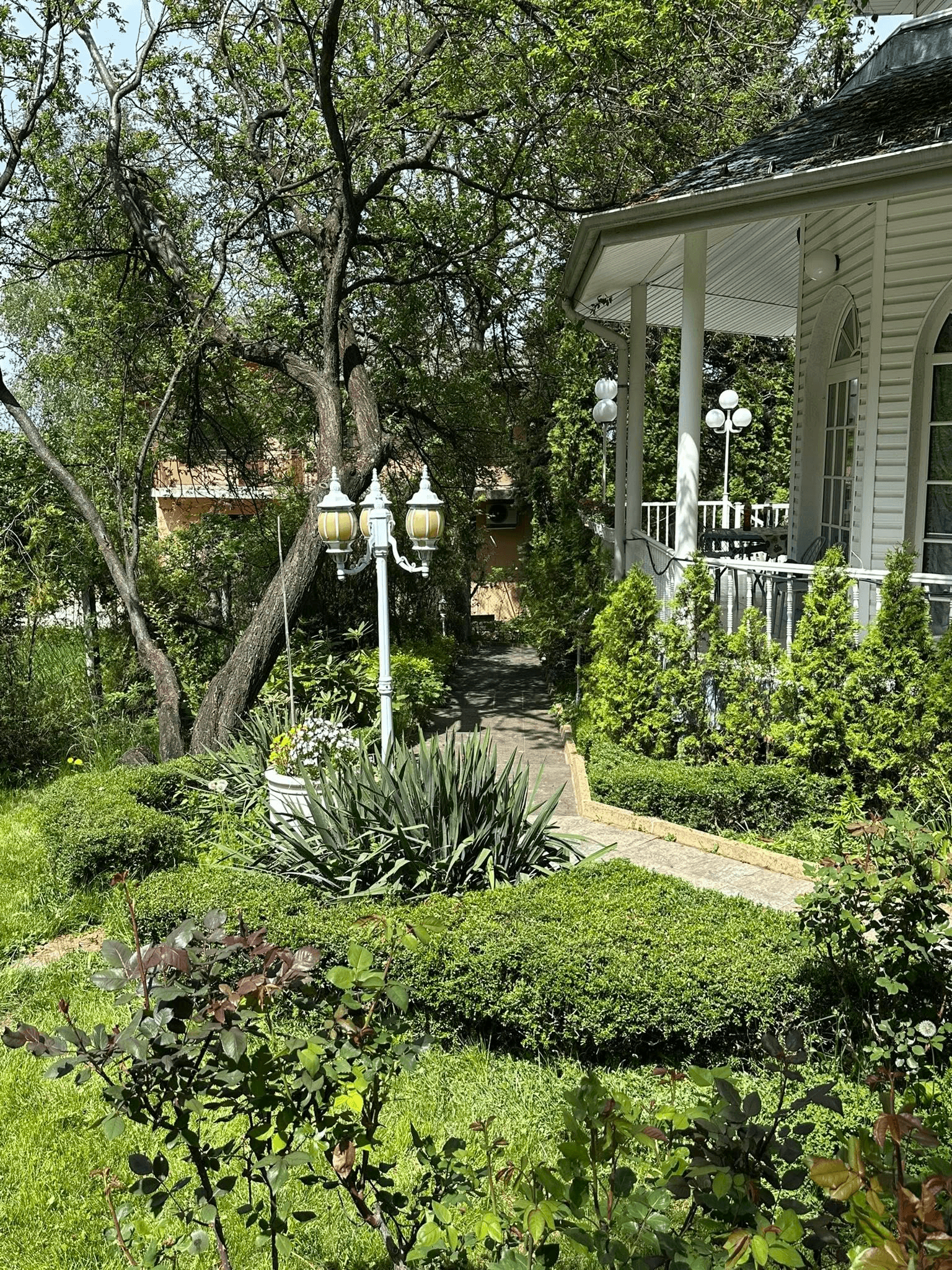 Оформяне на храсти и дървета