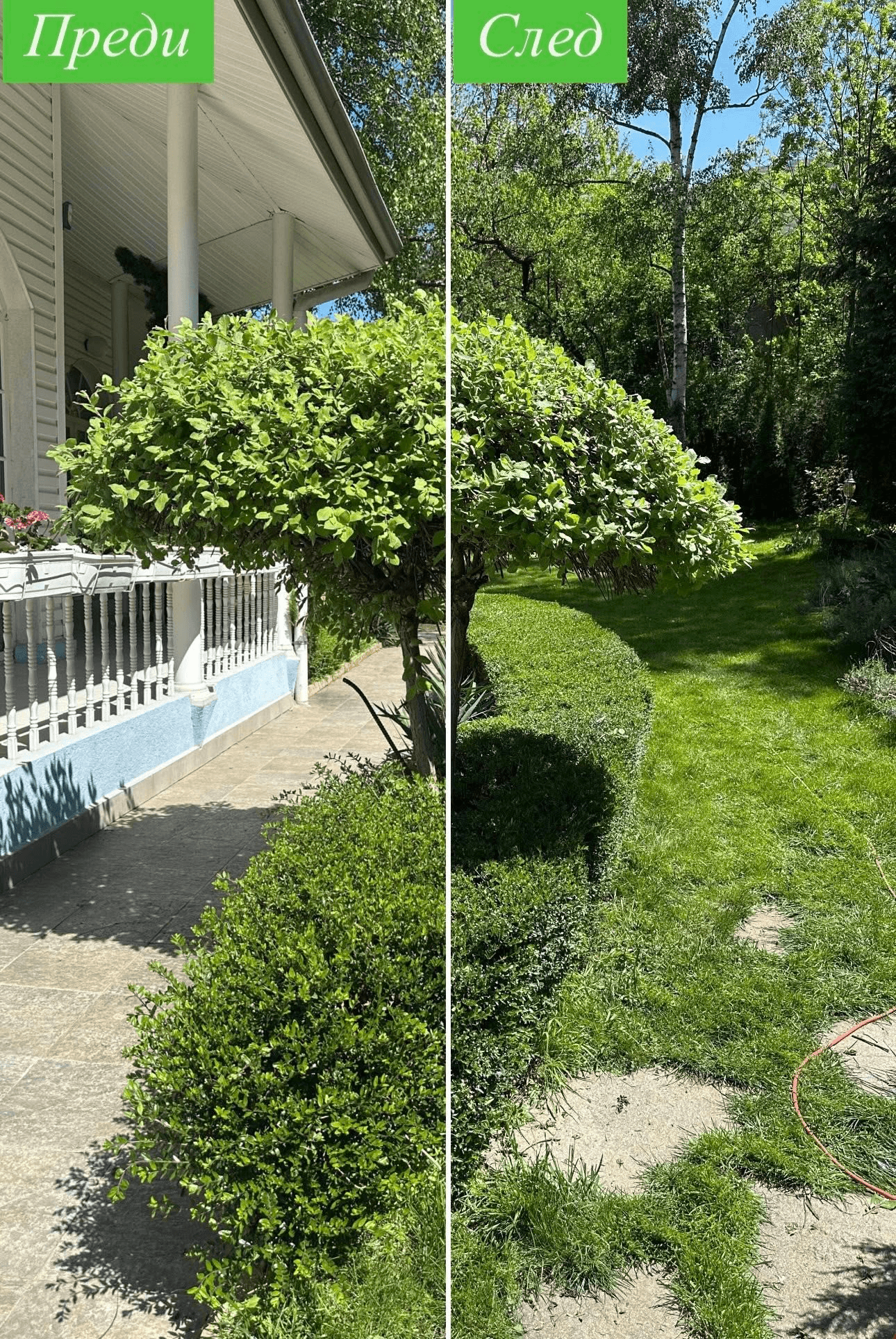 Поддръжка на тревни площи