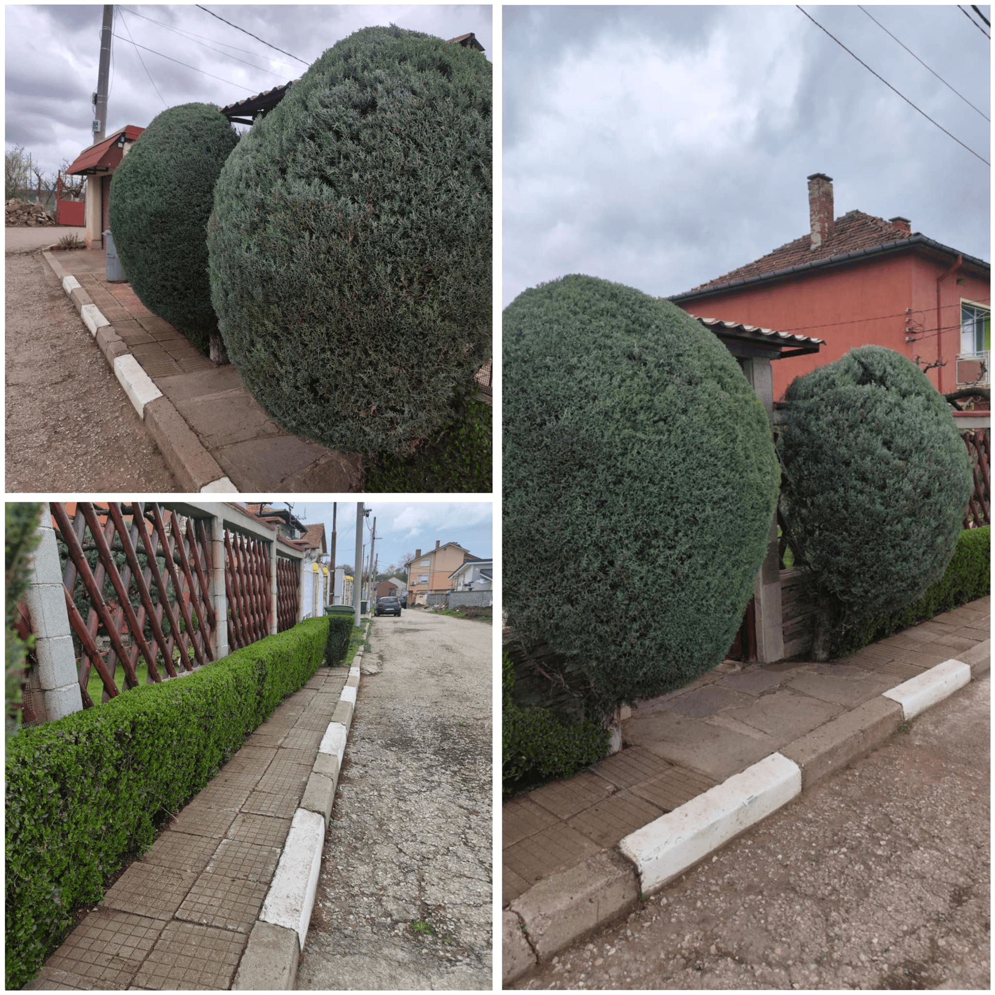 Сезонни градинарски услуги