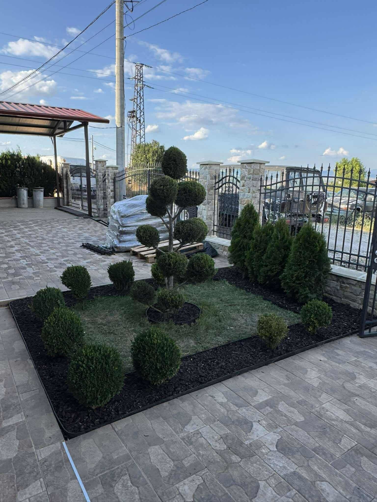 Професионално подрязване на дървета